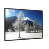 88289-655.jpg Blue Sky Cold Daylight Fosty Trees Framed Canvas