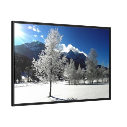 Blue Sky Cold Daylight Fosty Trees Framed Canvas