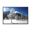 88289-656.jpg Blue Sky Cold Daylight Fosty Trees Framed Canvas