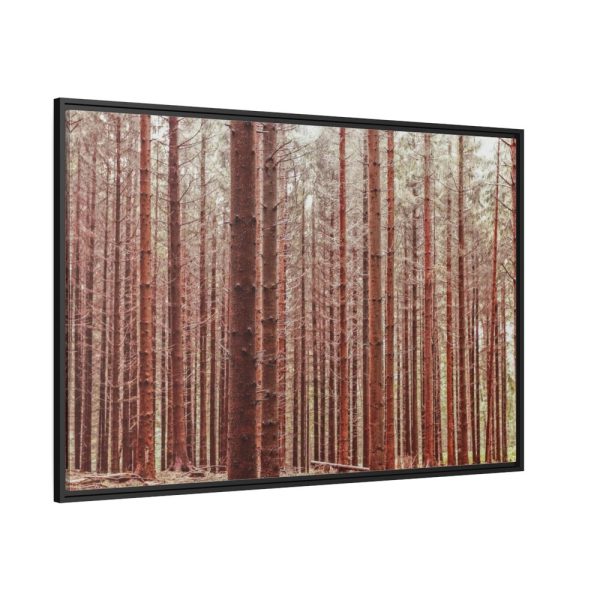 88289-670.jpg Forest Trees in Autumn Fremed Canvas