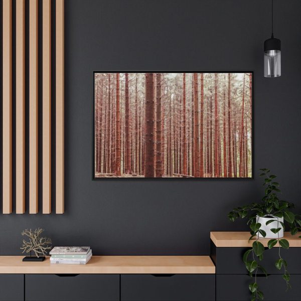 88289-674.jpg Forest Trees in Autumn Fremed Canvas