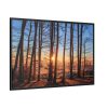 88289-675.jpg Sun and Trees Framed Canvas