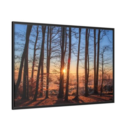 Sun and Trees Framed Canvas