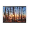 88289-676.jpg Sun and Trees Framed Canvas