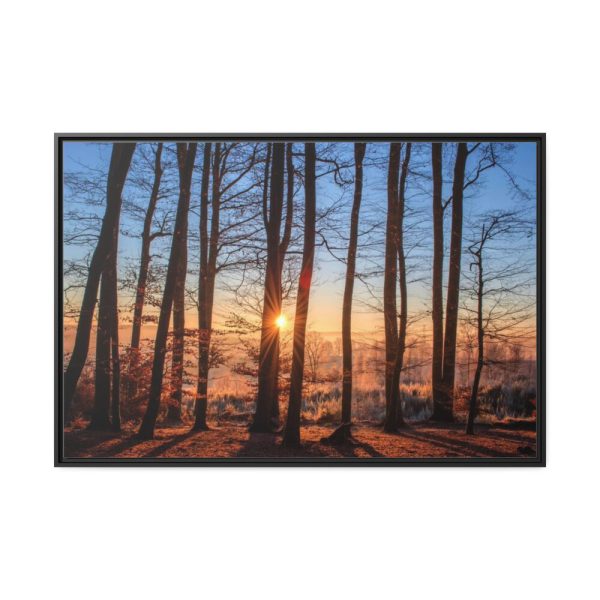 88289-676.jpg Sun and Trees Framed Canvas