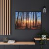 88289-679.jpg Sun and Trees Framed Canvas