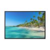88289-681.jpg Palm Trees On The Beach Framed Canvas