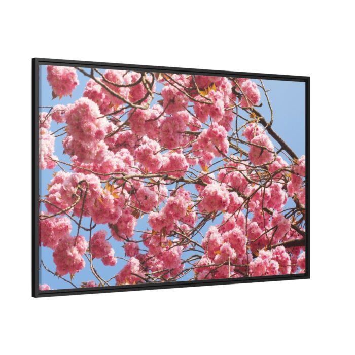 Japanese Cherry Tree Framed Canvas - Image 1