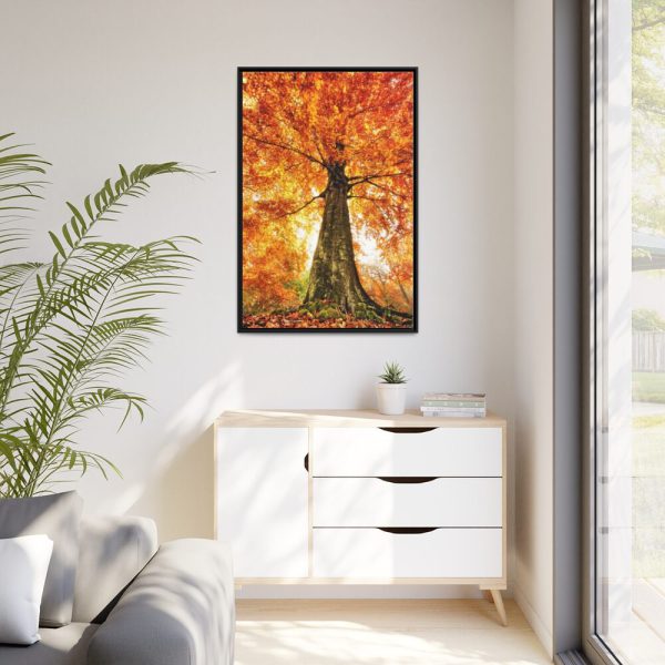 88299-118.jpg Beech With Autumn Leaves Framed Canvas