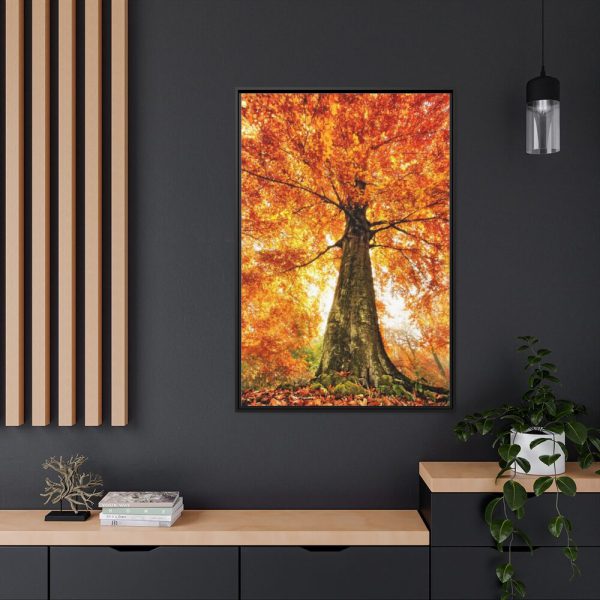 88299-119.jpg Beech With Autumn Leaves Framed Canvas