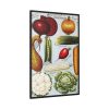 Rawson's Vegetable and Flower Seeds Framed Canvas