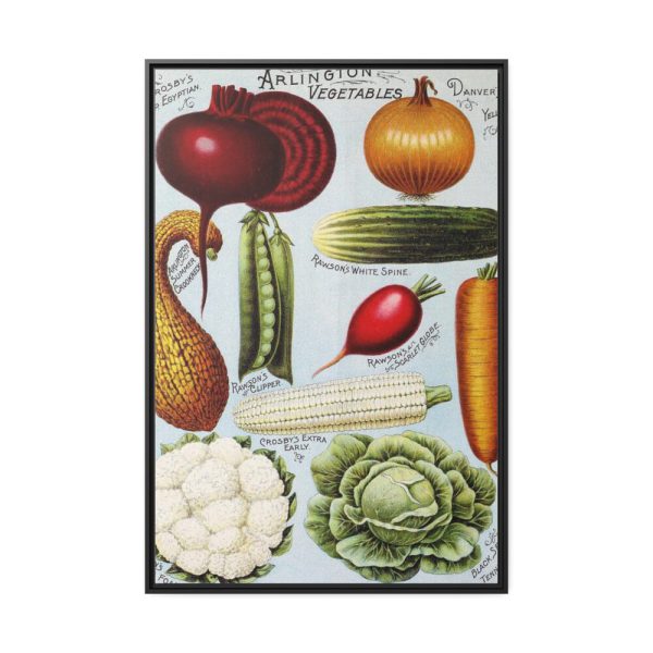 Rawson's Vegetable and Flower Seeds Framed Canvas
