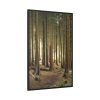 88299-160.jpg Trees in Forest Framed Canvas