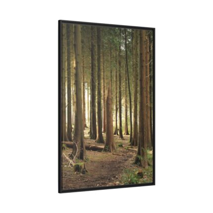 Trees in Forest Framed Canvas