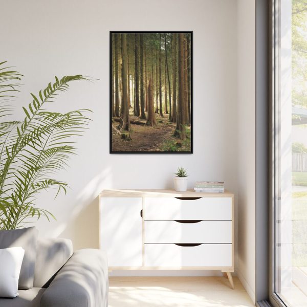 88299-163.jpg Trees in Forest Framed Canvas