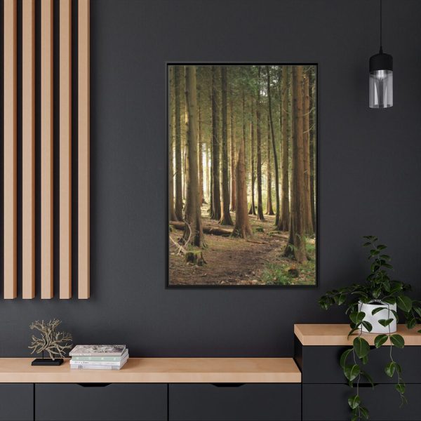 88299-164.jpg Trees in Forest Framed Canvas