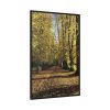 88299-185.jpg Yellow Fallen Leaves From Trees Framed Canvas