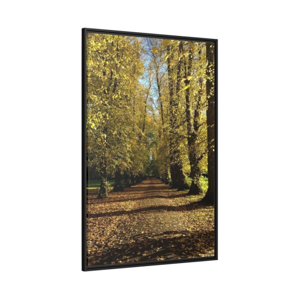88299-185.jpg Yellow Fallen Leaves From Trees Framed Canvas