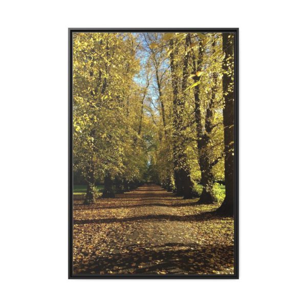 88299-186.jpg Yellow Fallen Leaves From Trees Framed Canvas