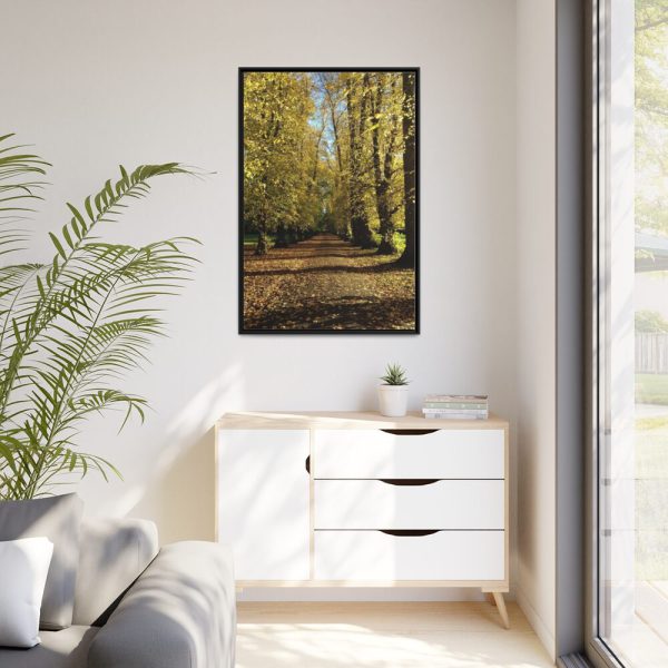 88299-188.jpg Yellow Fallen Leaves From Trees Framed Canvas