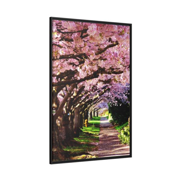 Blossoms Cherry Framed Canvas