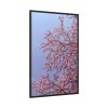 Pink Tree Blossom Framed Canvas