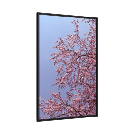 Pink Tree Blossom Framed Canvas