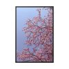Pink Tree Blossom Framed Canvas