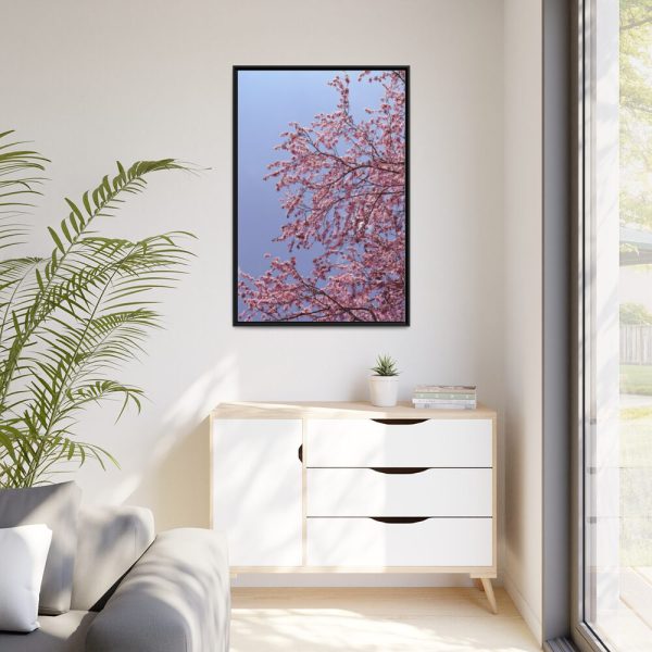 Pink Tree Blossom Framed Canvas