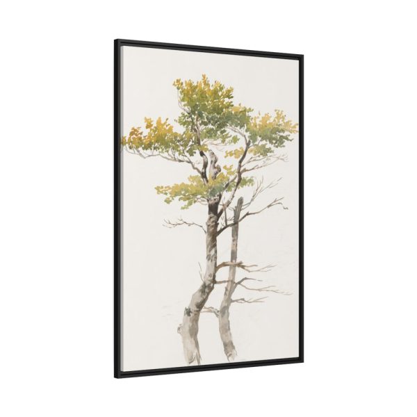 88299-60.jpg Study of Deciduous Tree by Friedrich von Scheidlin Framed Canvas