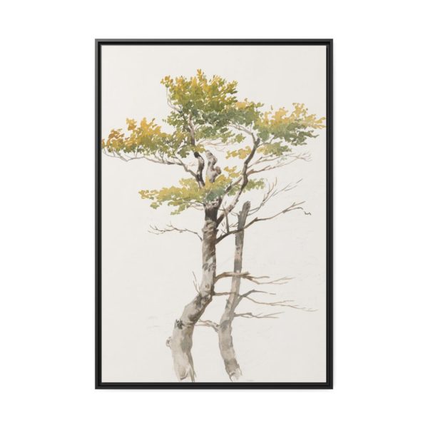 88299-61.jpg Study of Deciduous Tree by Friedrich von Scheidlin Framed Canvas