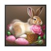 88302-306.jpg Cute Easter Bunny I Framed Canvas