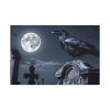 91638-131.jpg Raven Crow Gravestones Full Moon Standard Canvas
