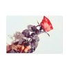Rose Gift Flowers Standard Canvas