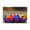 91638-196.jpg Funny Colorful Standard Canvas
