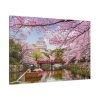 91638-240.jpg Cherry Blossom in Japan Standard Canvas