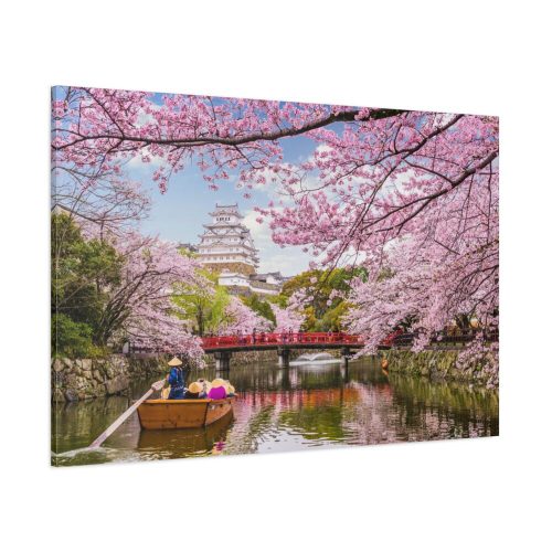 Cherry Blossom in Japan Standard Canvas
