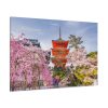 91638-245.jpg Cherry Blossom in Tokio Standard Canvas