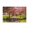 91638-251.jpg Park with Pink Blossom Trees Standard Canvas