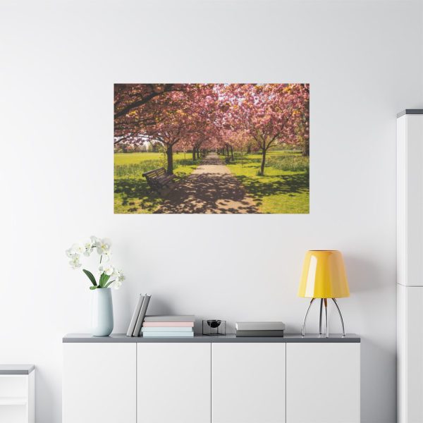 91638-252.jpg Park with Pink Blossom Trees Standard Canvas