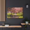 91638-253.jpg Park with Pink Blossom Trees Standard Canvas