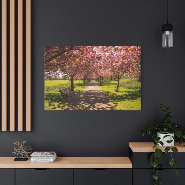 91638-253.jpg Park with Pink Blossom Trees Standard Canvas