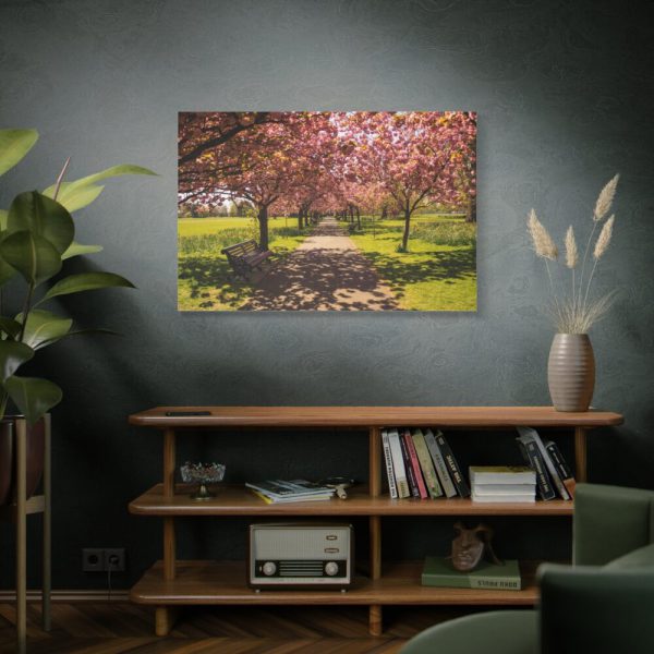 91638-254.jpg Park with Pink Blossom Trees Standard Canvas