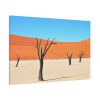 91638-255.jpg Dead Tree on Desert Standard Canvas