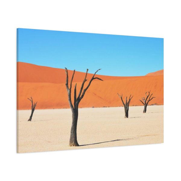 91638-255.jpg Dead Tree on Desert Standard Canvas