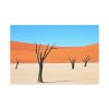 91638-256.jpg Dead Tree on Desert Standard Canvas