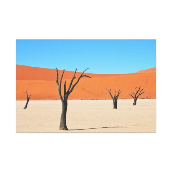 91638-256.jpg Dead Tree on Desert Standard Canvas