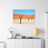 91638-257.jpg Dead Tree on Desert Standard Canvas