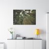 91638-317.jpg Perspective Tall High Up Trees Standard Canvas