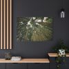 91638-318.jpg Perspective Tall High Up Trees Standard Canvas